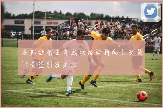 灰熊欲借去年成功经验再向上交易16号签引发关注