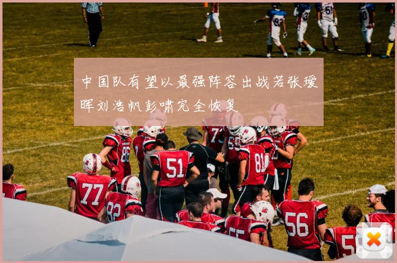 中国队有望以最强阵容出战若张瑷晖刘浩帆彭啸完全恢复